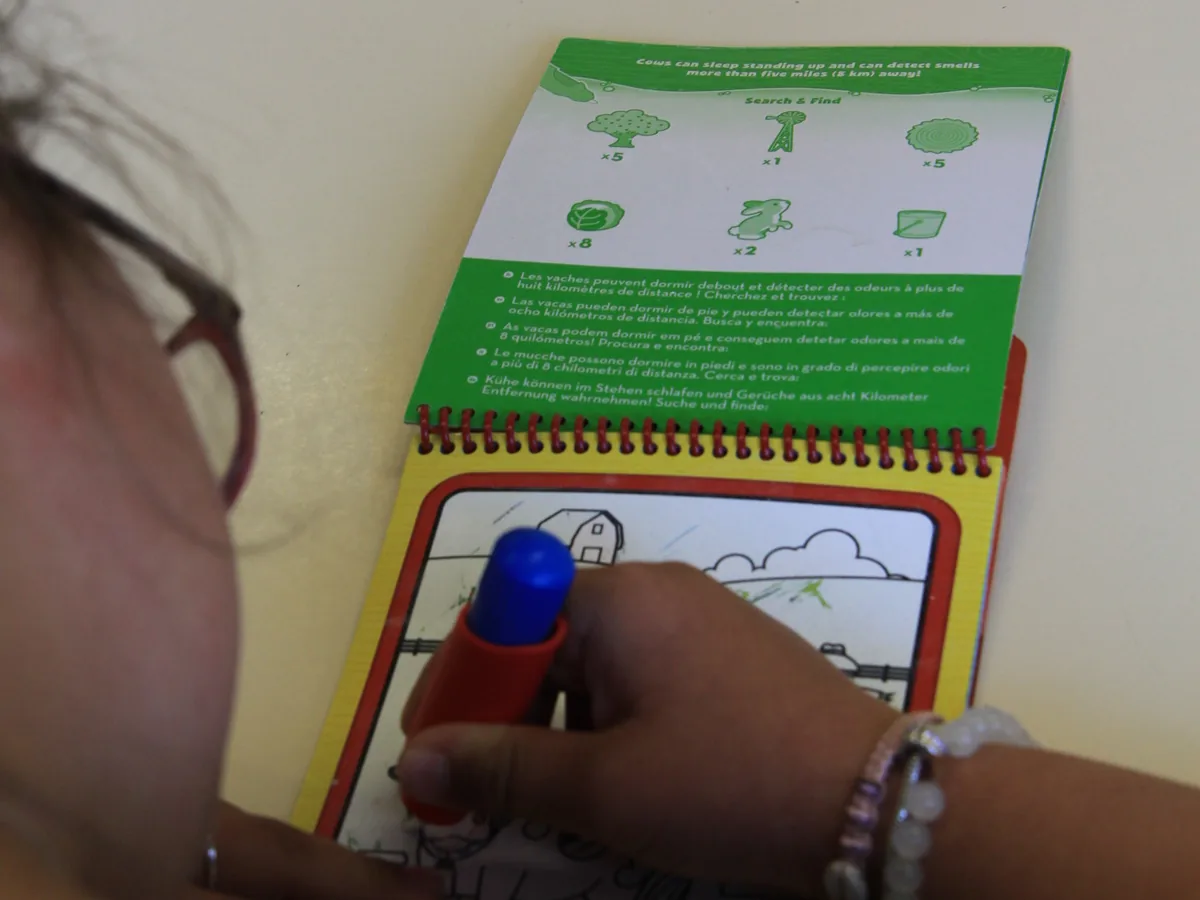 Jeune réalisant une activité pédagogique avec un support illustré au DASA